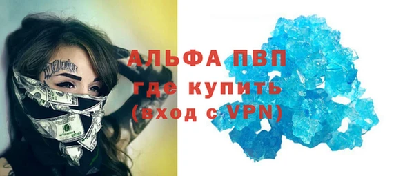 шишки Покачи