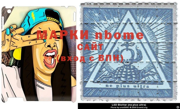 хмурый Алексин