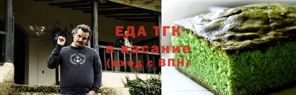 хмурый Алексин