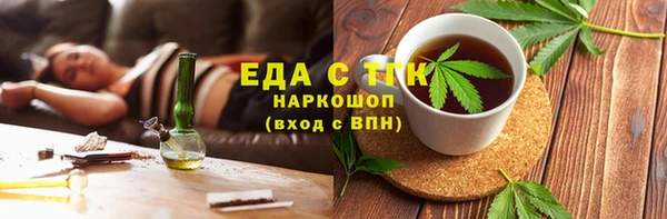 хмурый Алексин