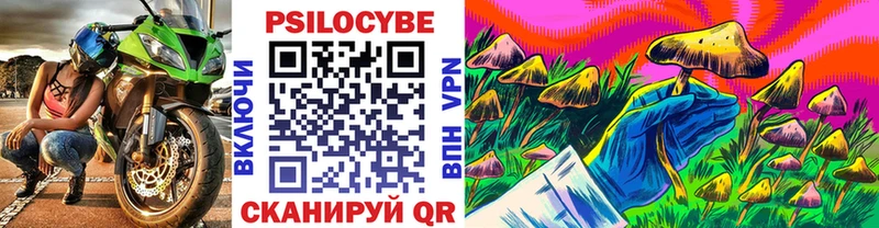 Псилоцибиновые грибы прущие грибы  закладки  Андреаполь 